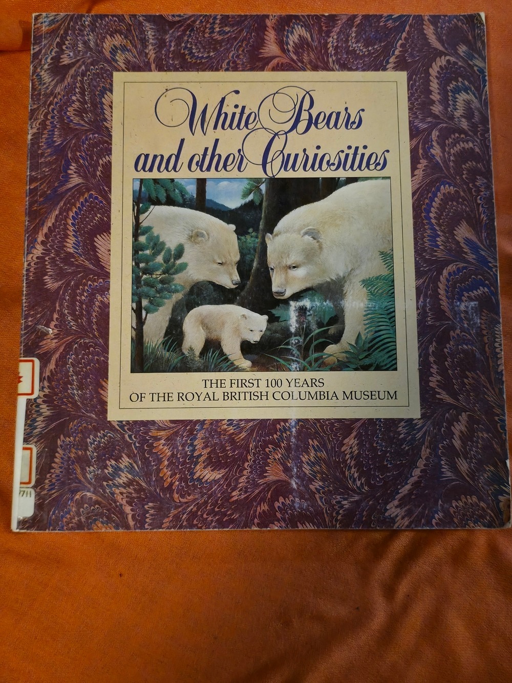 4/$25 Deal! Vintage White Bears and Other Curiosities